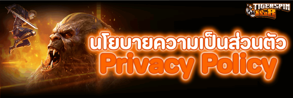 นโยบายความเป็นส่วนตัว